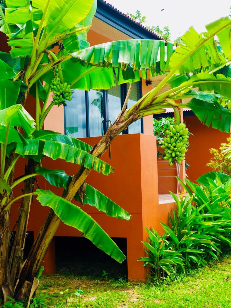 Baansuan Amaleena Ko Yao Noi Esterno foto